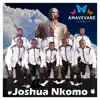 Amavevane Acapella - Joshua Nkomo - Single